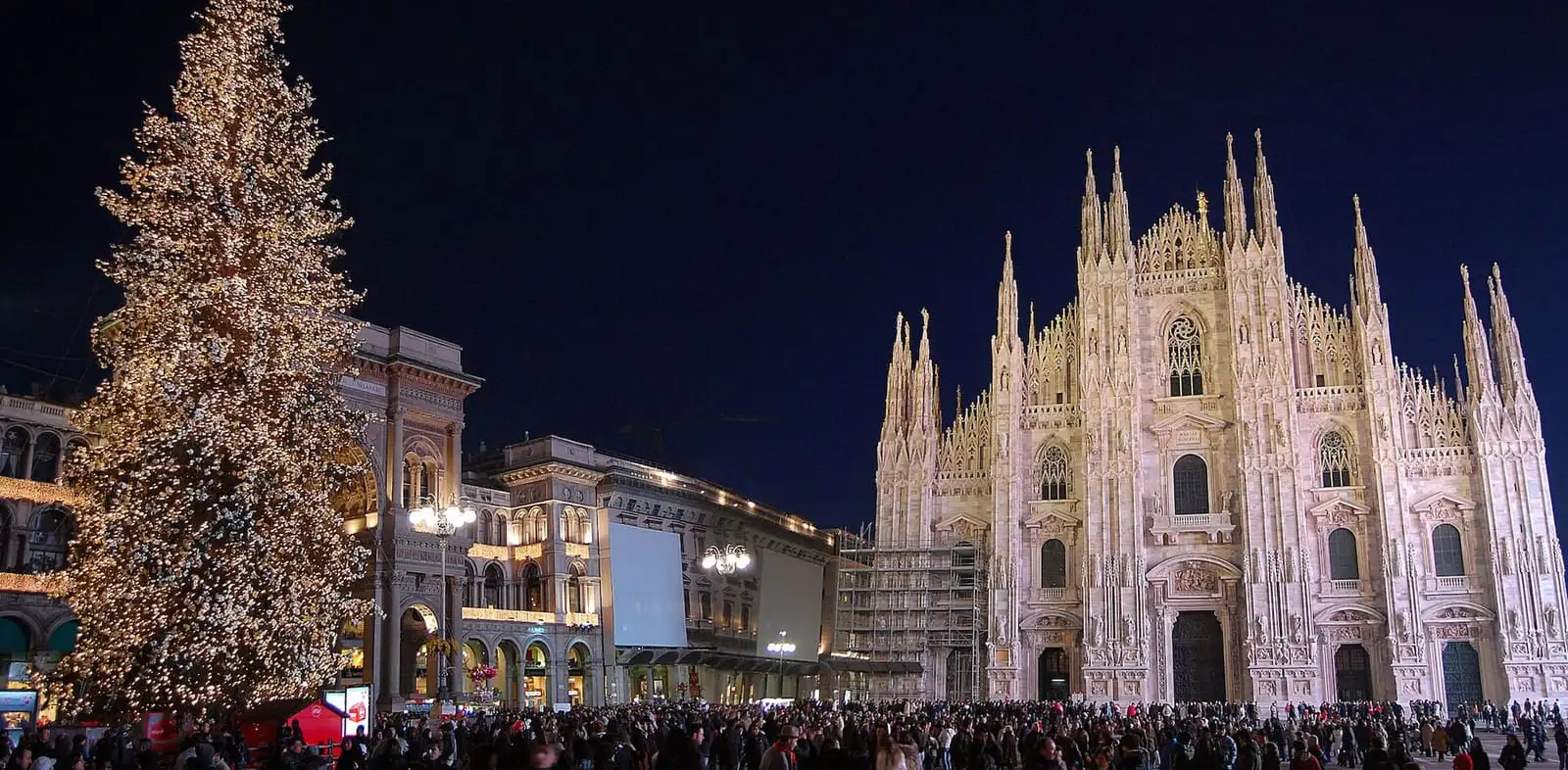 The Christmas tree in Piazza del Duomo at night, next to the lit facade of Milan Cathedral