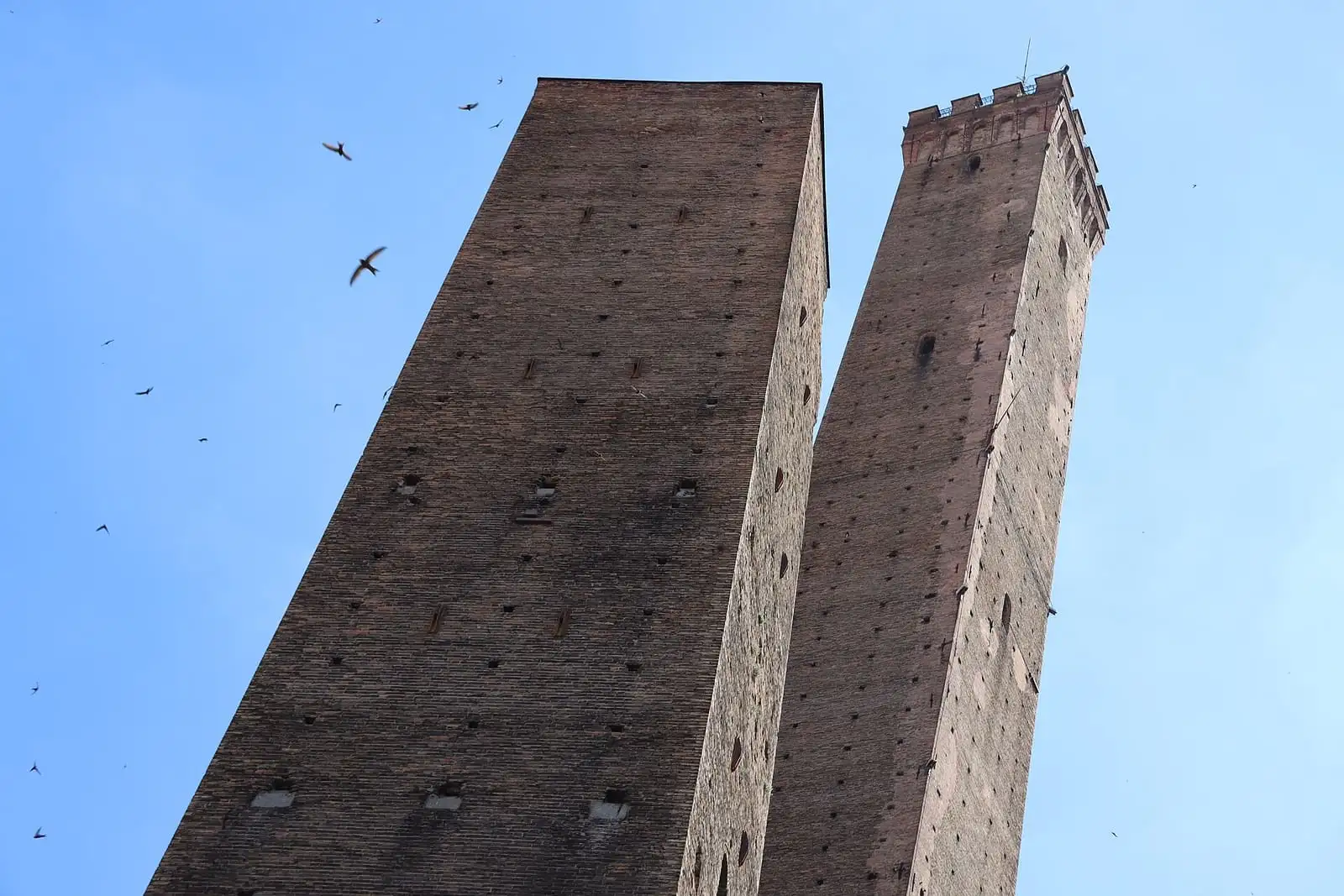 The brick Garisenda and Asinelli towers in Bologna seen from below against a blue sky with birds